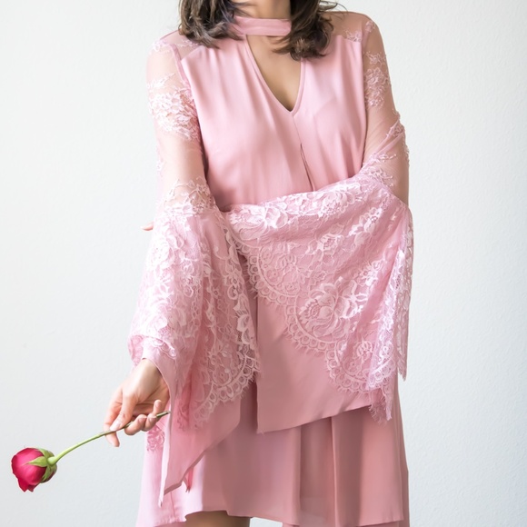 Foreverdolledup Dresses & Skirts - ⭐️Rose Quartz Long Sleeve Lace Shift Dress⭐️